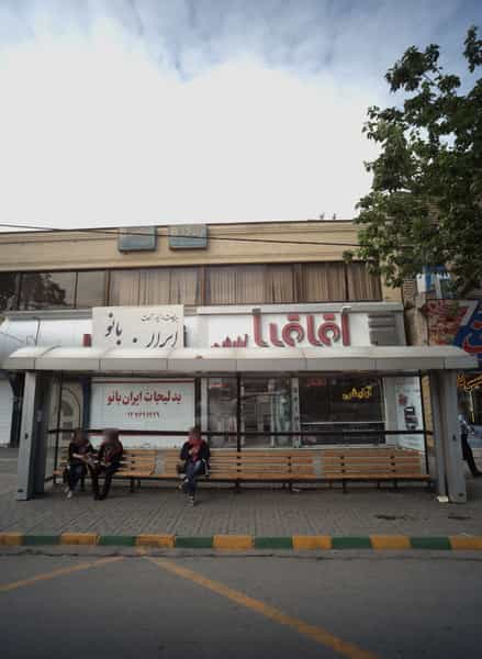 عکس آرایشی اقاقیا در فرهنگ مشهد