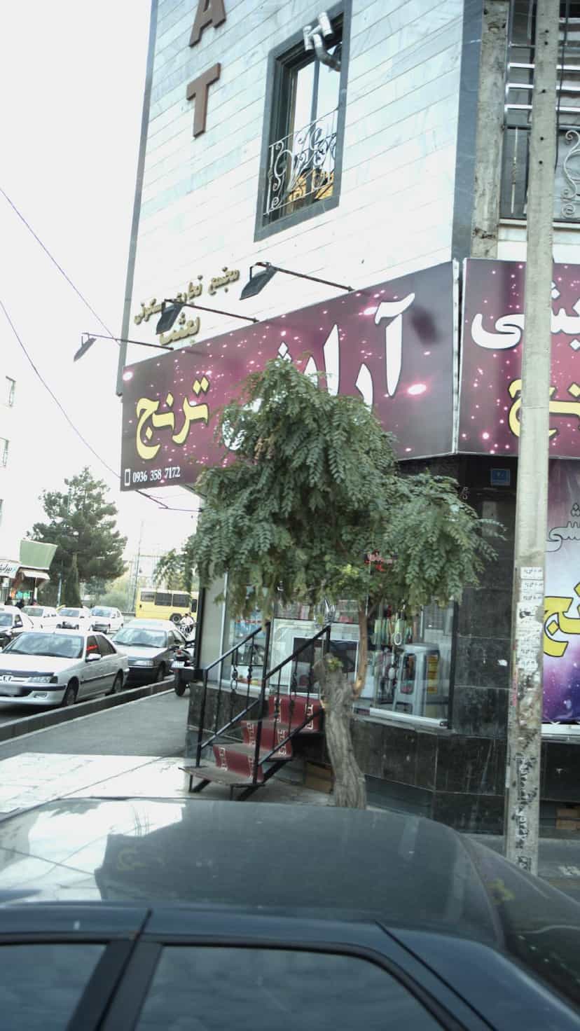 عکس آرایشی ترنج در فاز ۱ اندیشه شهریار