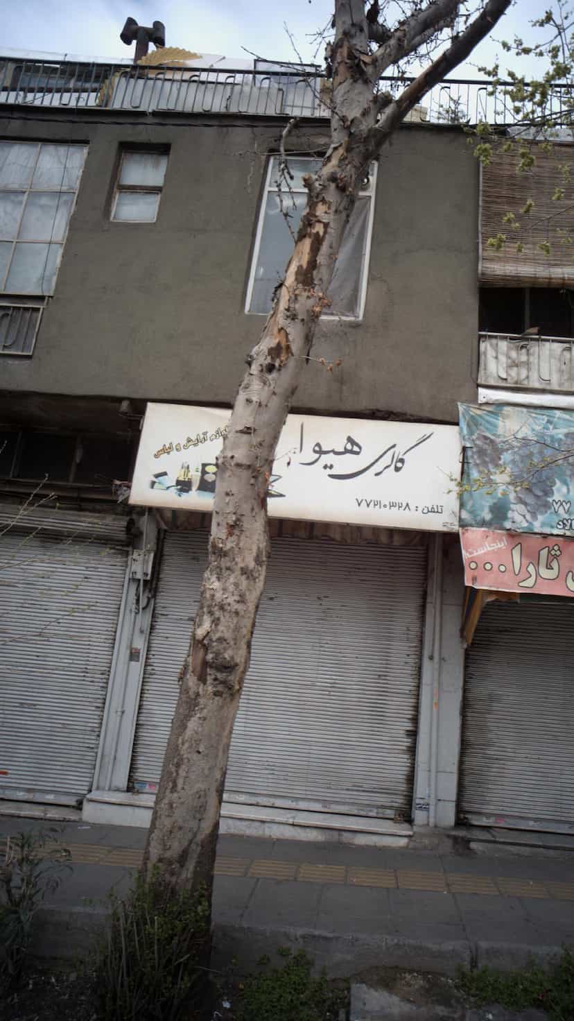 عکس گالری هیوا در دانشگاه علم و صنعت 