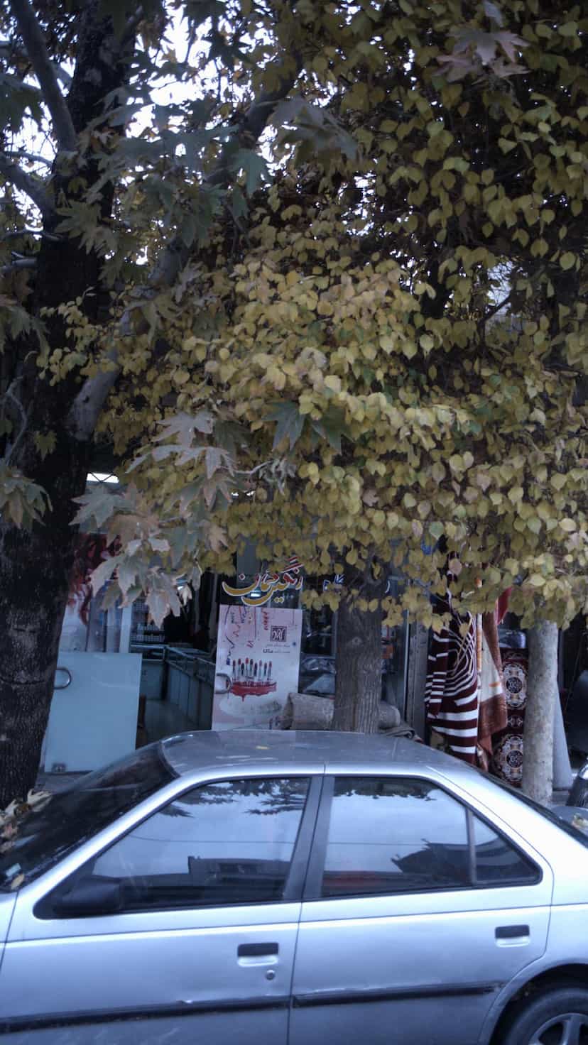 عکس لوازم آرایشی و بهداشتی رنگین کمان در کن 