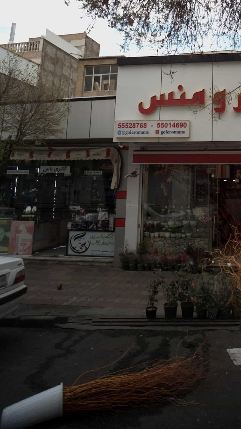 عکس گالری یاس در خانی آباد نو 