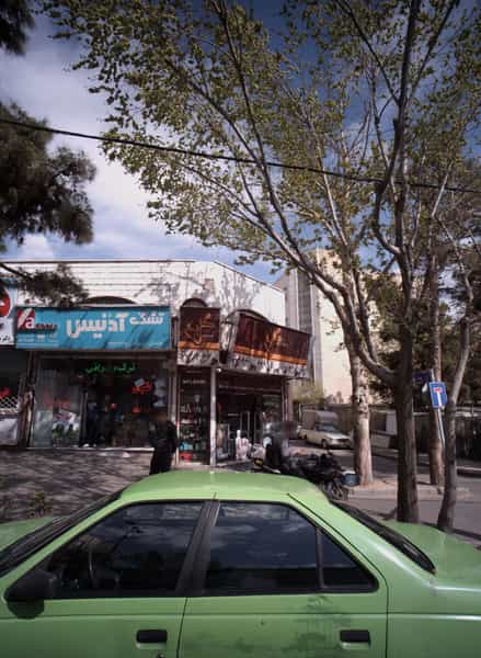 عکس گل یخ در تهرانپارس غربی 