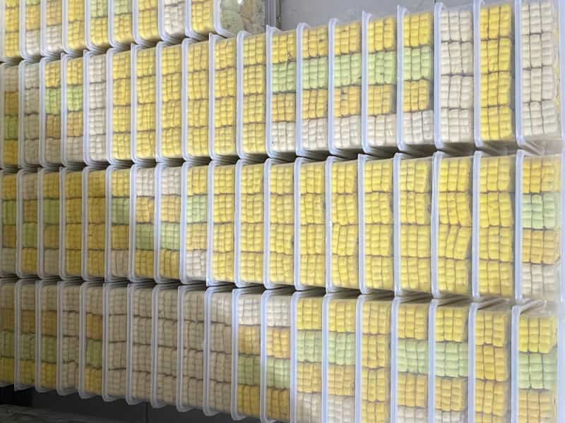 عکس شیرینی کلمپه خرمایی کرمان