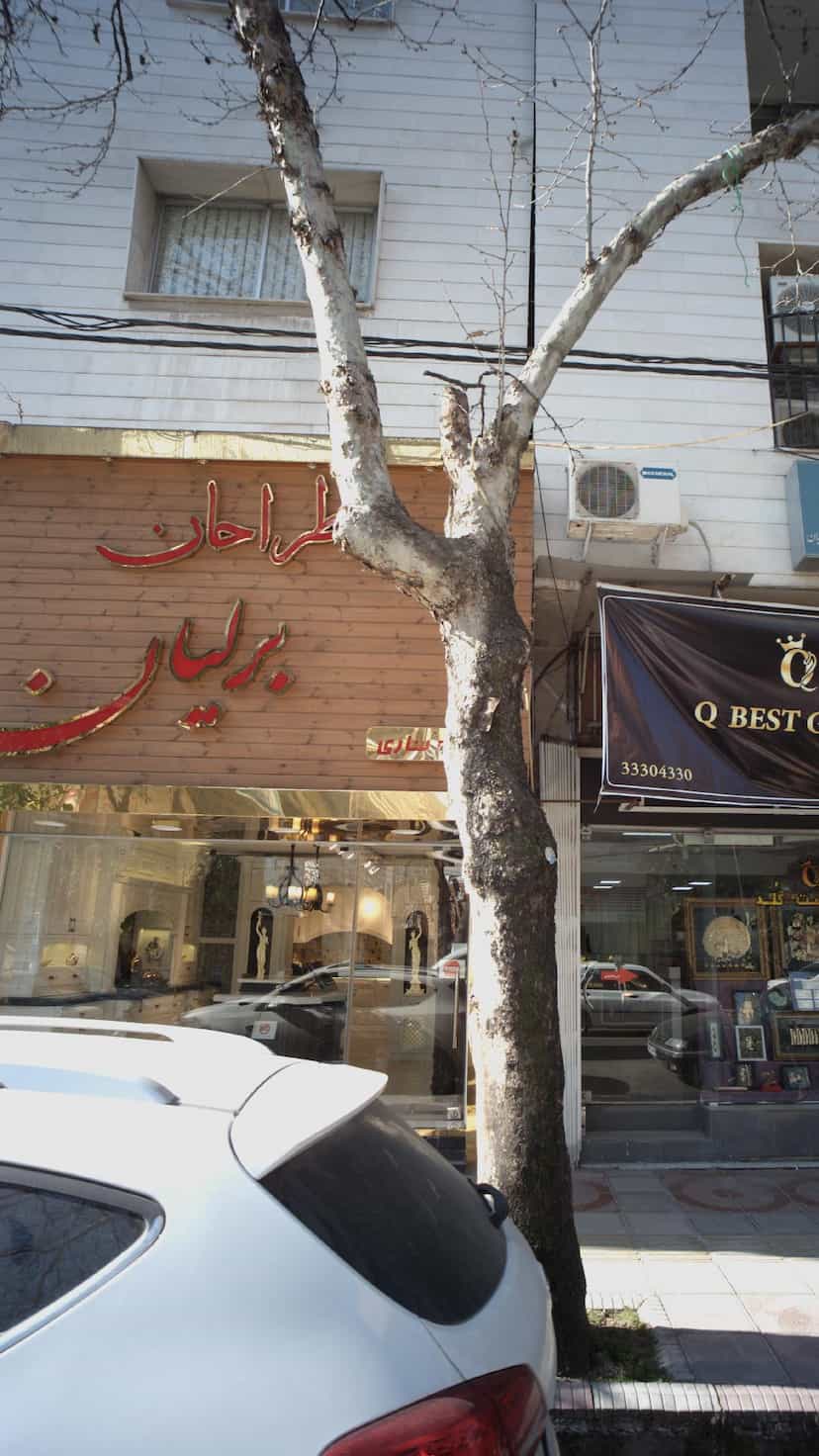 عکس طراحان برلیان در طبرسی ساری