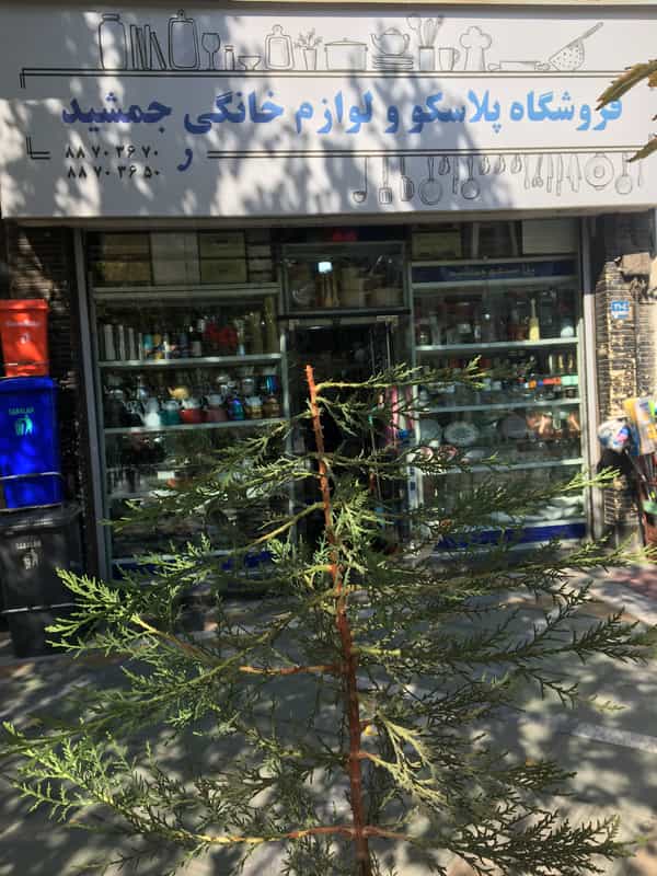 عکس پلاسکو جمشید در یوسف آباد 