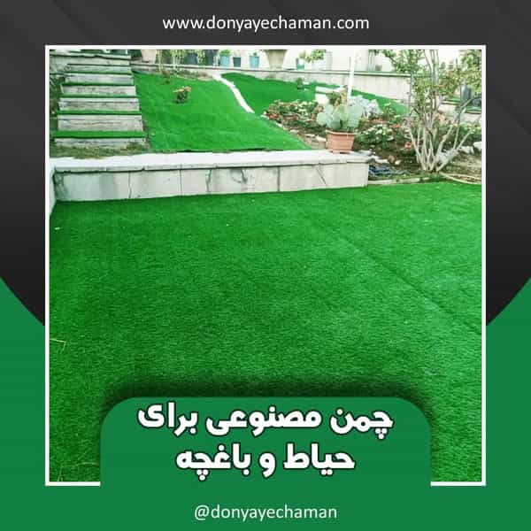 عکس دنیای چمن در مرزداران 