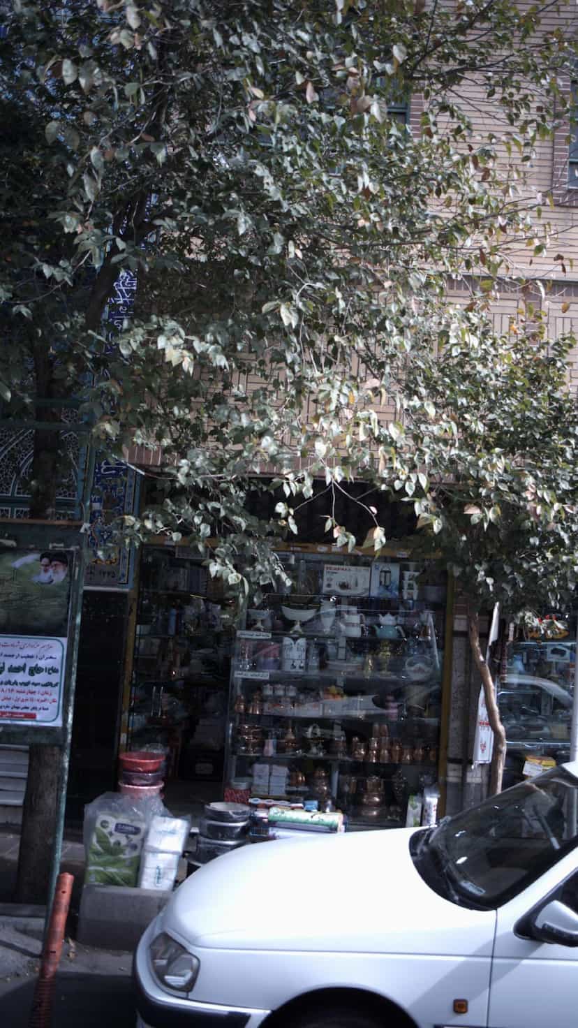 عکس فروشگاه لوازم خانگی در افسریه شمالی 