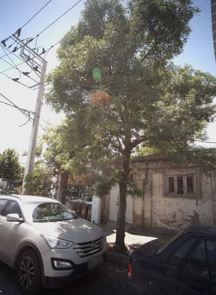 عکس فروشگاه لوازم خانگی کریمی در کوشش مشهد