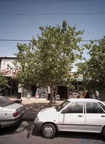 عکس فروشگاه لوازم خانگی جهیزیه سرای دهقان در کارمندان اول مشهد