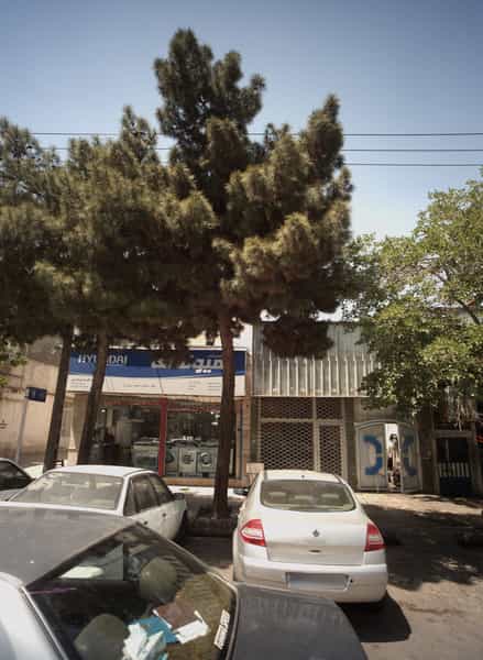 عکس فروشگاه پاکدامن در کوشش مشهد