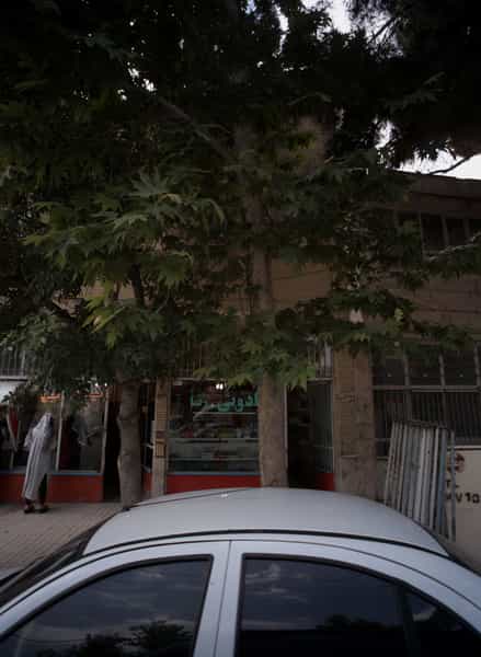 عکس کادوئی رضا در فاطمیه مشهد