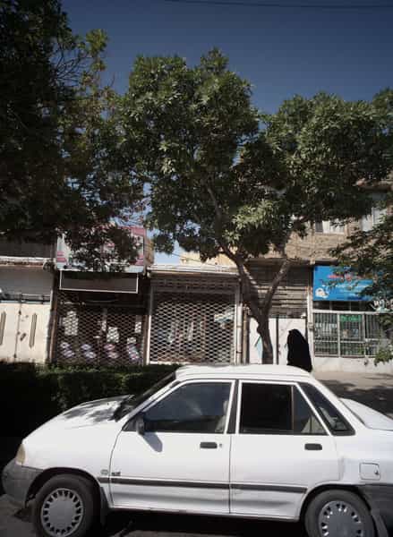 عکس یدک پارس در طلاب مشهد