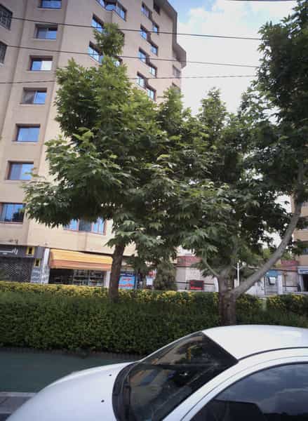 عکس فروشگاه لوازم خانگی در هنرستان مشهد