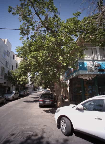 عکس فروشگاه لوازم خانگی نور توس در احمدآباد مشهد