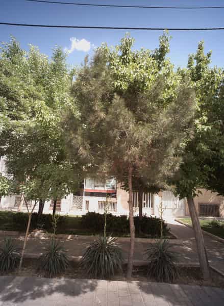 عکس فروشگاه لوازم خانگی در محمد آباد مشهد