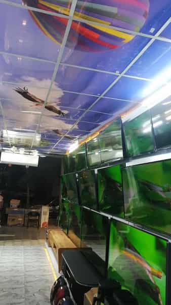 عکس فروشگاه لوازم خانگی دردانی در زند شیراز