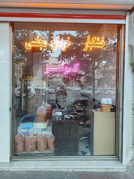 عکس خرمای کوثر در دوه چی تبریز