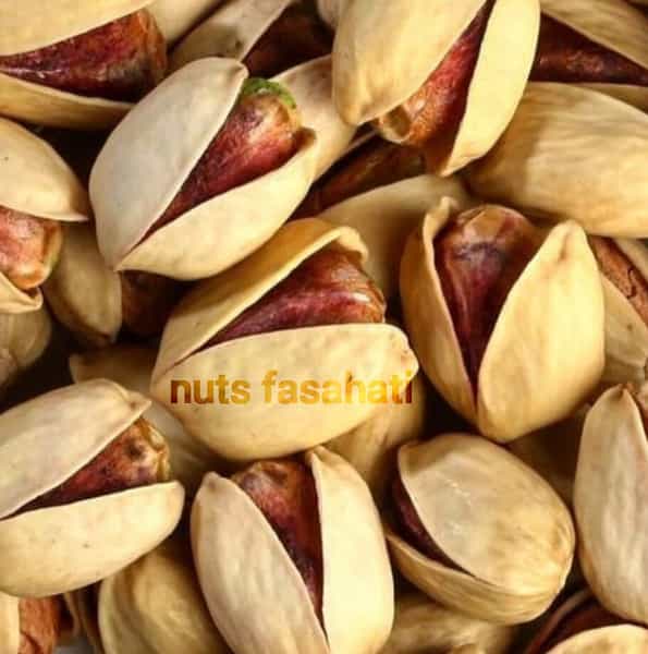 عکس آجیل فصاحتی در دروازه ارک زنجان