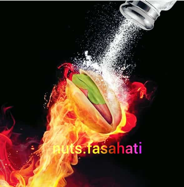 عکس آجیل فصاحتی در دروازه ارک زنجان