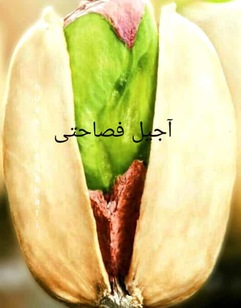 عکس آجیل فصاحتی در دروازه ارک زنجان