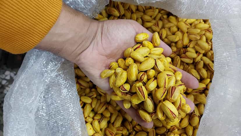 عکس پسته رجا شهرک طباطبایی کرمان