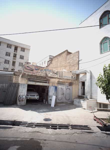 عکس صافکاری گلها در خلیج فارس شمالی 