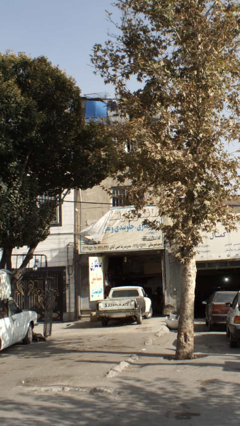 عکس صافکاری و نقاشی برادران قربانی در استخر 