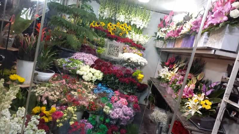 عکس گلفروشی جردن و۳شعبه دیگر ۰۹۱۹۷۱۵۲۳۷۶