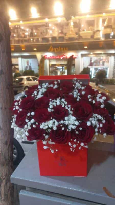 عکس گلفروشی جردن و۳شعبه دیگر ۰۹۱۹۷۱۵۲۳۷۶