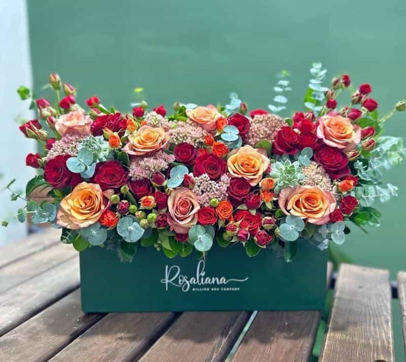 عکس گلفروشی جردن و۳شعبه دیگر ۰۹۱۹۷۱۵۲۳۷۶