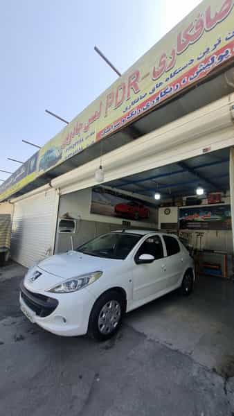 عکس صافکاری لمس جادویی داود برزگری در شکوفه 