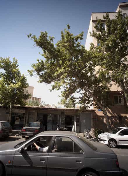 عکس صافکاری و نقاشی یاقوت میدان حر 