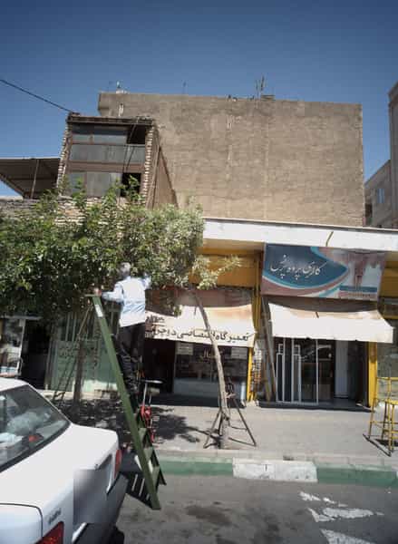 عکس تعمیرگاه دوچرخه کمال در مشیریه 