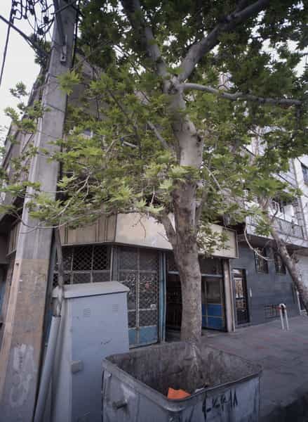 عکس تعمیرگاه خودرو در امامزاده عبدالله 