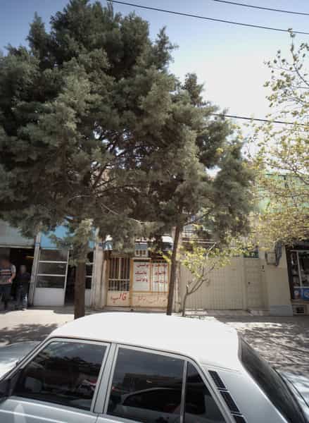 عکس صافکاری و نقاشی خودرو در گلشن 