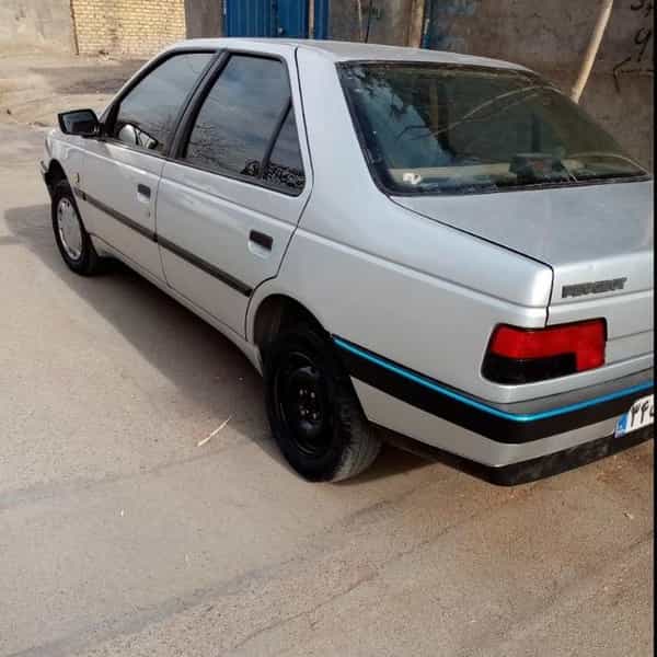 عکس صافکاری سید در ثامن مشهد
