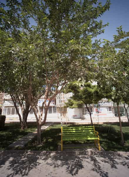 عکس صافکاری در بهمن مشهد