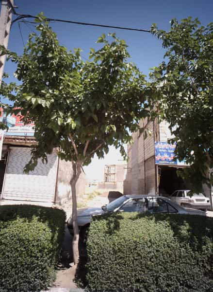 عکس مکانیکی و خدمات برق اتومبیل در شهید قربانی مشهد
