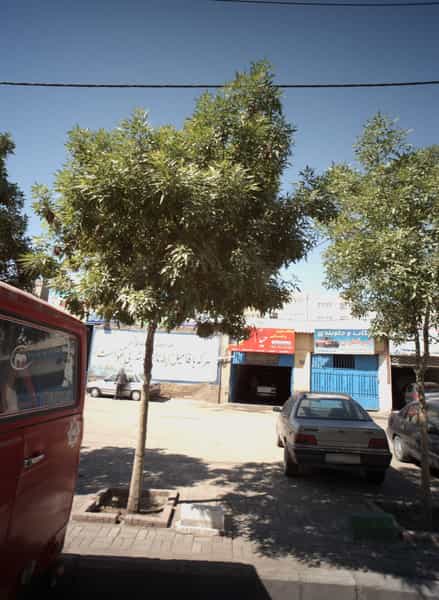 عکس صافکاری و نقاشی خیام کوی امیرالمومنین مشهد