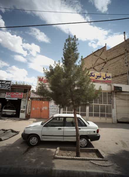 عکس صافکاری و نقاشی سرولایت در شهید قربانی مشهد