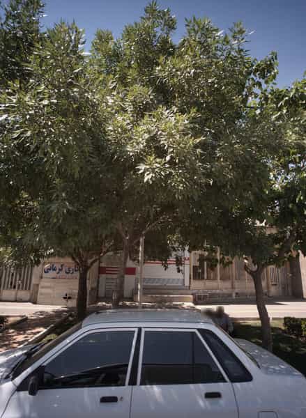 عکس صافکاری کرمانی در کارگران مشهد