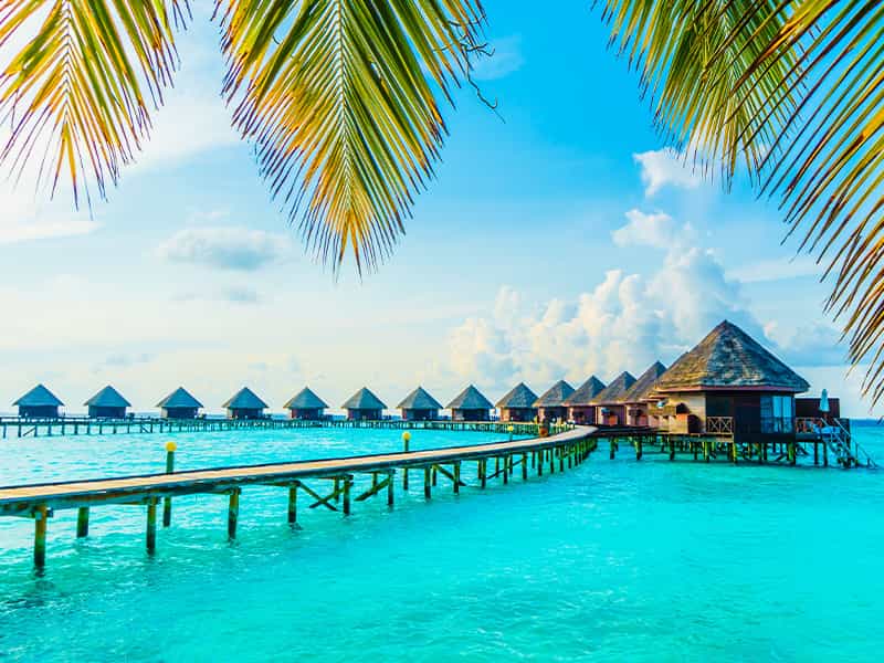 عکس آژانس هواپیمایی مسافرتی و گردشگری سفرهای دورونزدیک