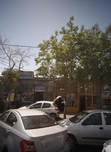 عکس صافکاری امید کوی پلیس مشهد