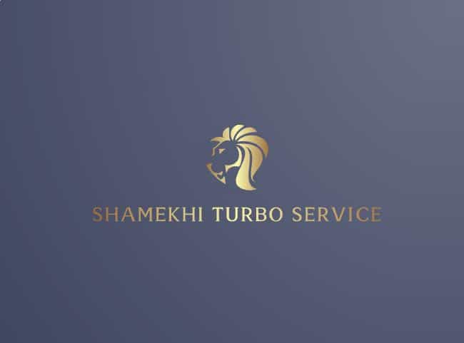 عکس تعمیرگاه توربوشارژر شامخی در دیزل آباد تبریز