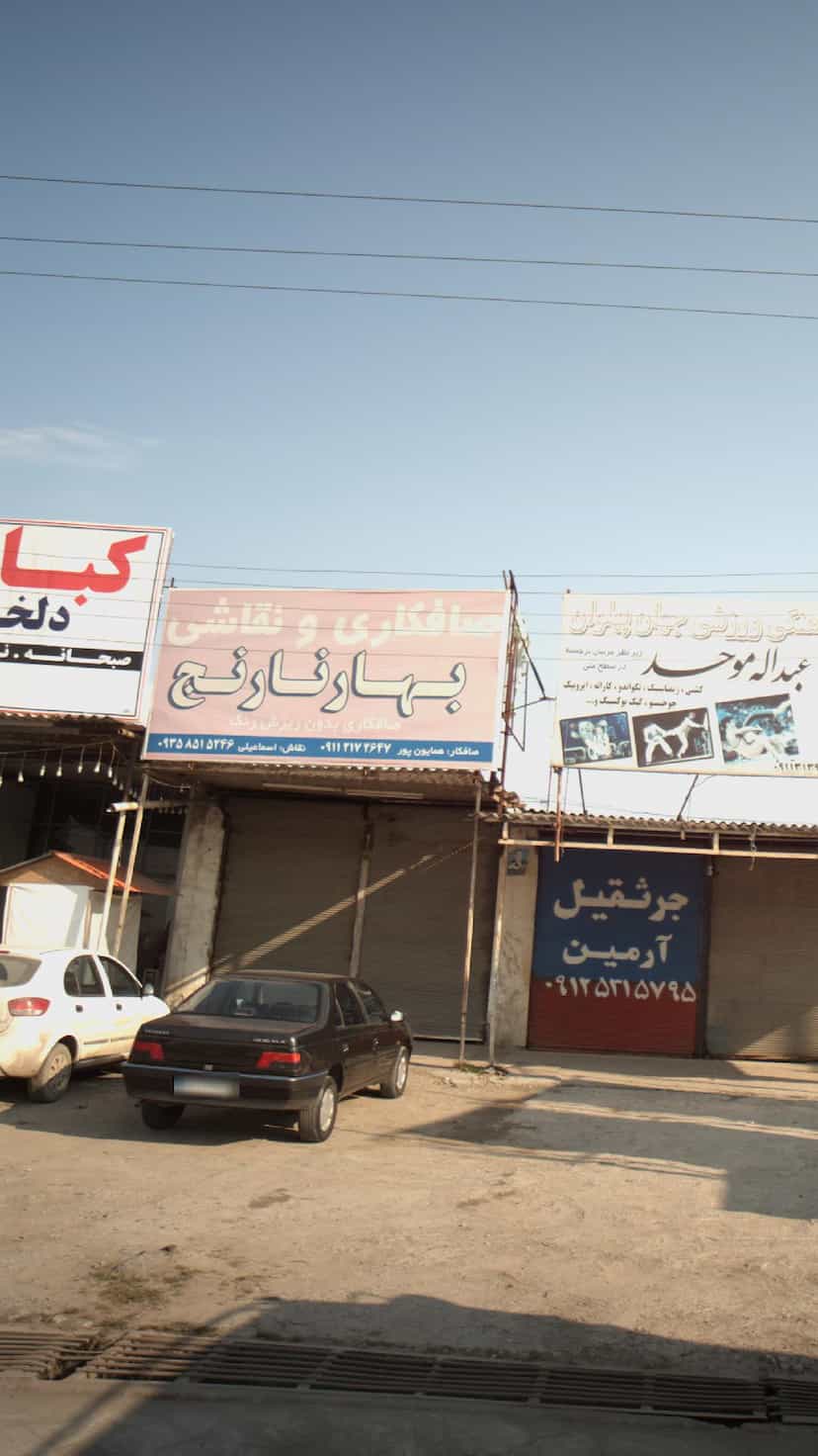 عکس صافکاری و نقاشی بهارنارنج در حیدر کلا بابل