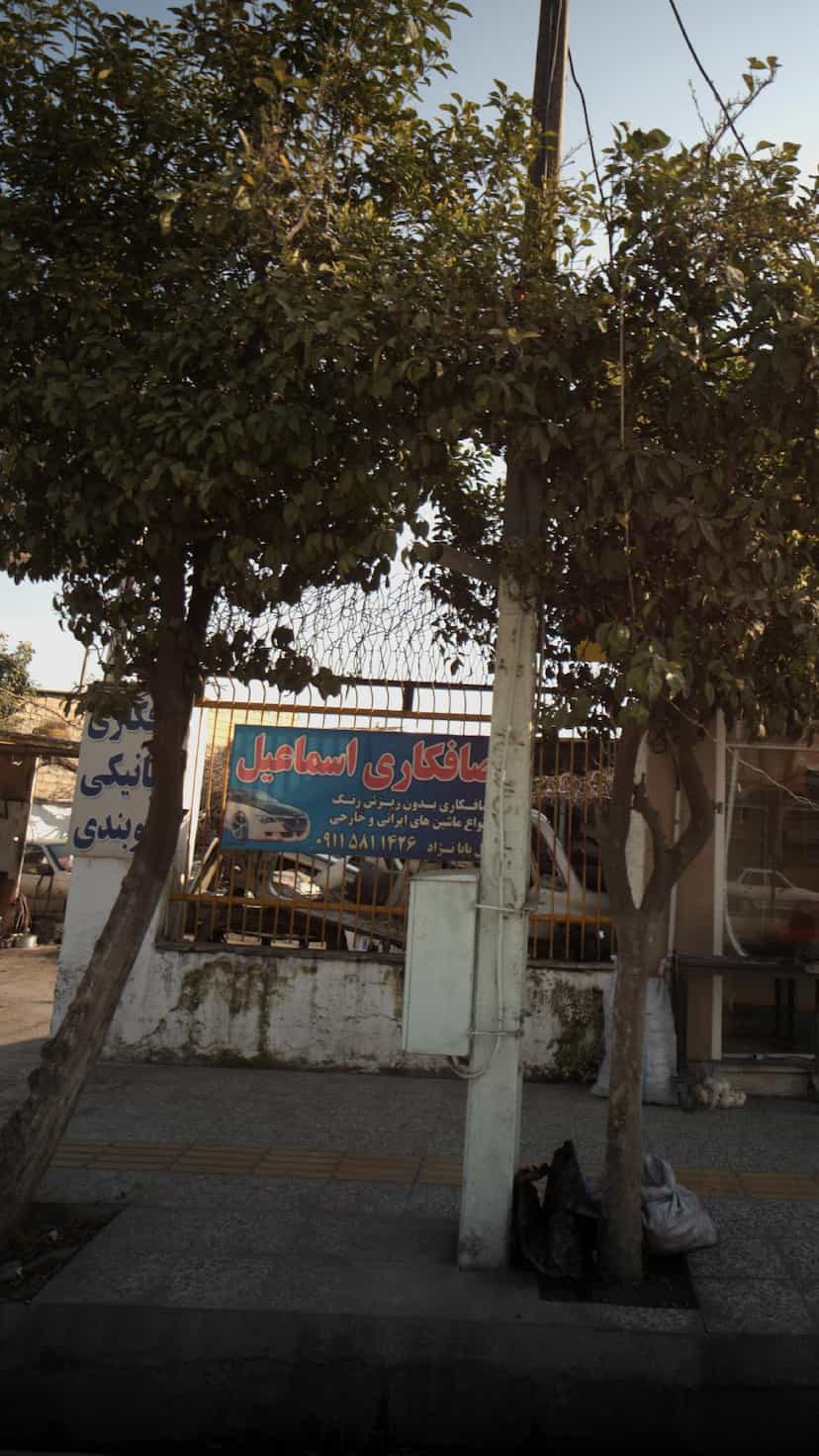 عکس صافکاری اسماعیل در حکیم آباد بابل