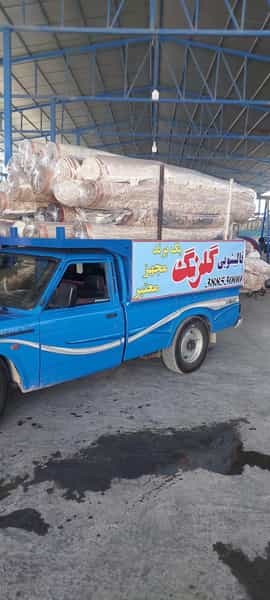 عکس قالیشویی گلرنگ قم