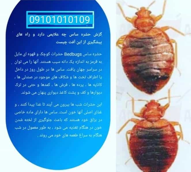 عکس شرکت خدمات سمپاشی پرشیا در هفتاد دستگاه آمل