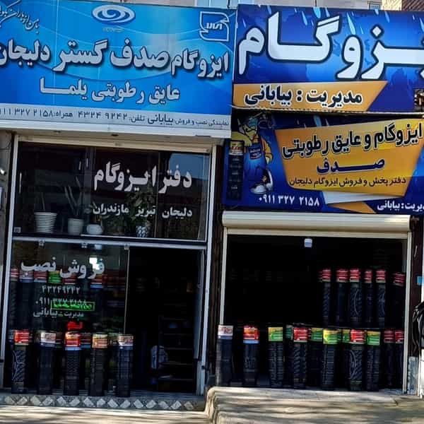 عکس ایزگام صدف در کته پشت آمل