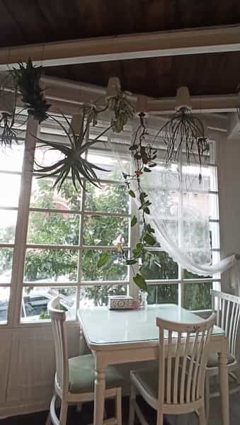 عکس کافه رستوران گیاهی مهر میترا در باستی لواسان